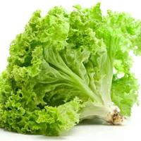 Selada Bokor /250Gram