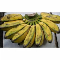 Pisang Kepok /Sisir