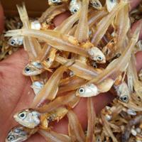 Asin Teri Tawar /100Gram