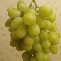 Anggur Hijau /Kg