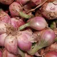 Bawang Sumenep /100Gram