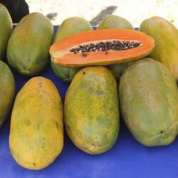 Pepaya California /Buah