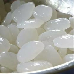 Kolang Kaling /500Gram