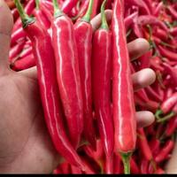 Cabe Merah Besar /100Gram
