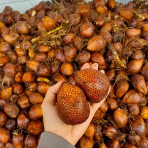 Salak /Kg