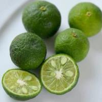 Jeruk Limau /100Gram