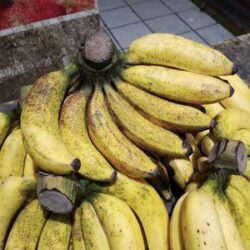 Pisang Raja Sereh /Sisir