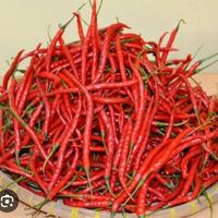 Cabe Merah Keriting /100Gram