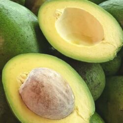 Alpukat Mentega Flores /Kg