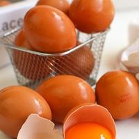 Telur Ayam Omega 3 /Butir