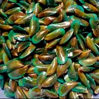 Kerang Hijau /500Gram