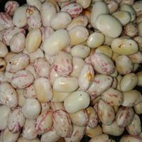 Kacang Endul /250Gram