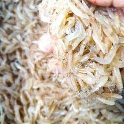 Udang Kecil (Rebon) /500Gram