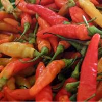 Cabe Rawit Merah /100Gram