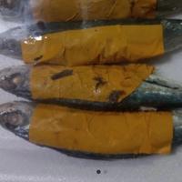 Pindang Layang /Pack