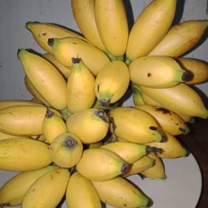 Pisang Mas /Sisir