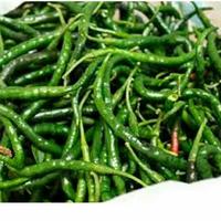 Cabe Hijau Keriting /100Gram