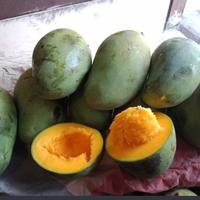 Mangga Alpukat /Kg