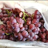 Anggur Red Globe /Kg