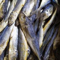 Asin Peda Layang /100Gram