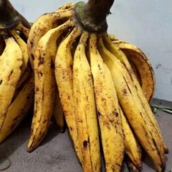 Pisang Tanduk /Kg