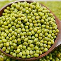 Kacang Hijau /250Gram