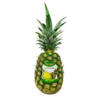 Nanas Honi Sunpride /Buah